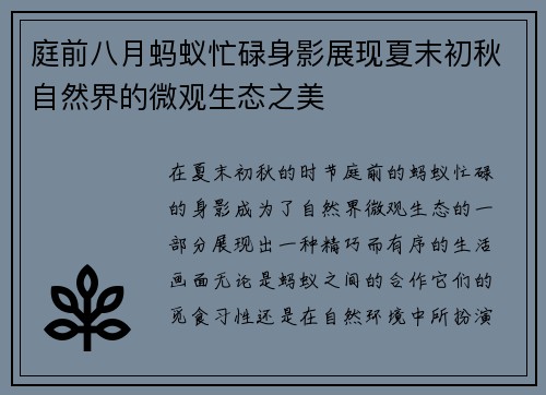 庭前八月蚂蚁忙碌身影展现夏末初秋自然界的微观生态之美